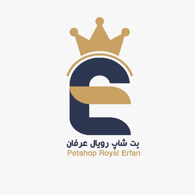 صفحه اصلی