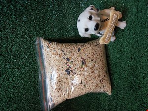 غذای مخلوط پرندگان مدل فله ای 