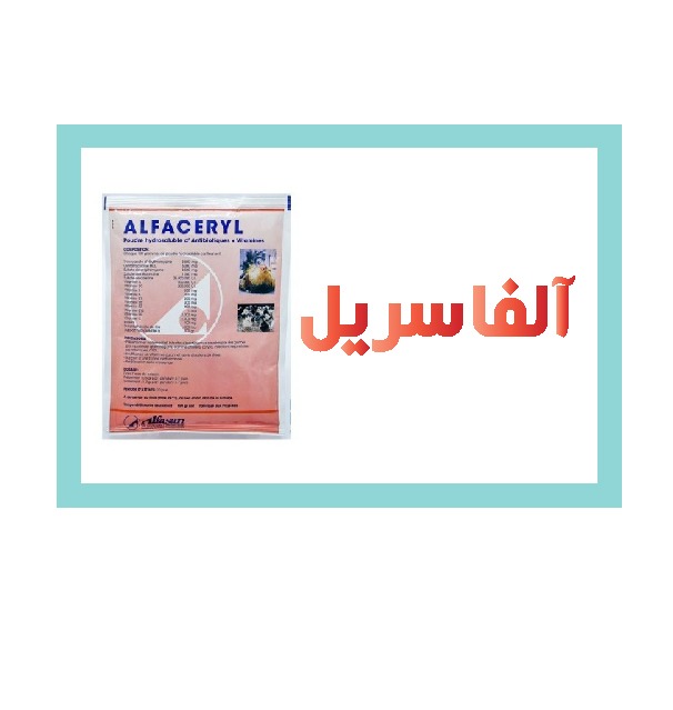 آلفا سریل اصل هلند 