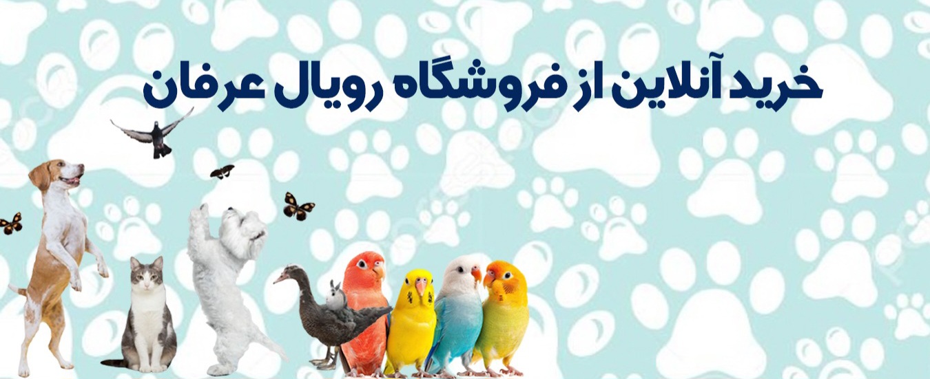 خرید انلاین 